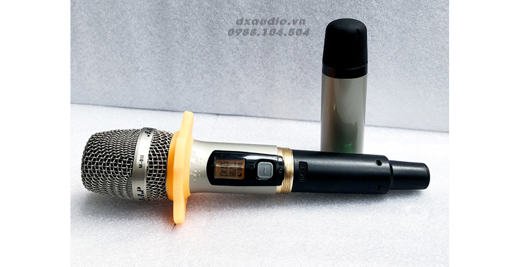 Micro AAP S700