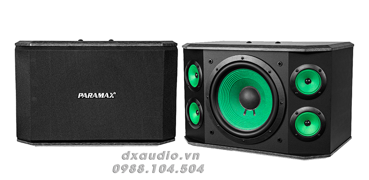 loa paramax p1000 gioi thieu